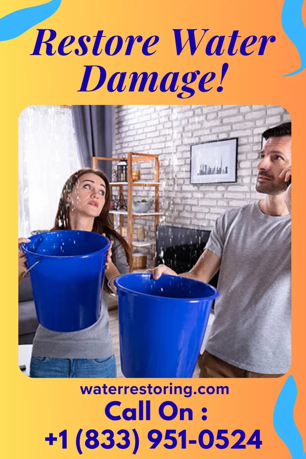 water restoration Allied Water Restoration Masters Lisle